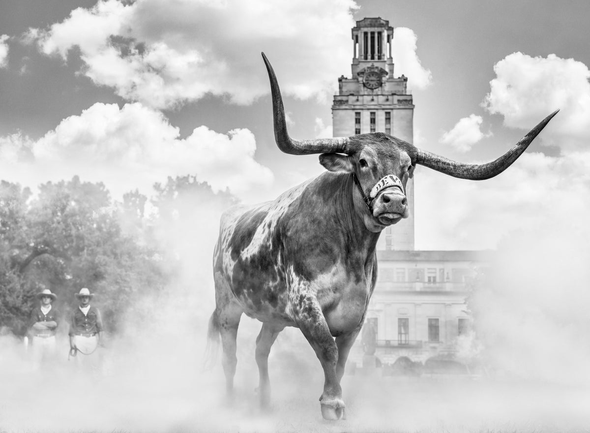 David Yarrow. Sorrel Sky Gallery. Santa Fe Art Gallery. Online Art Gallery.