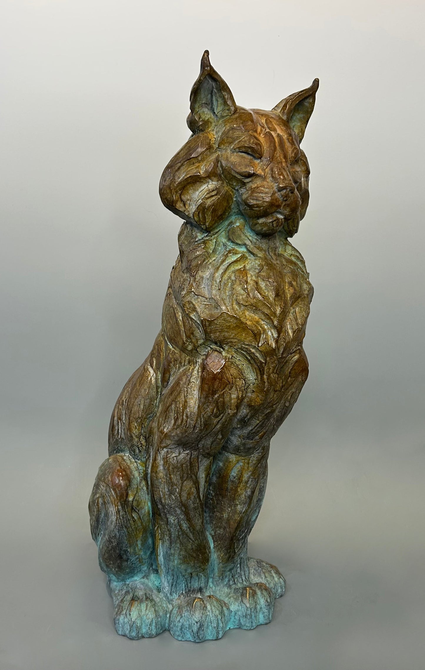 Cloud 9 - Bobcat