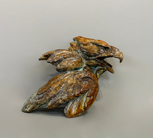 Hawk Fragment