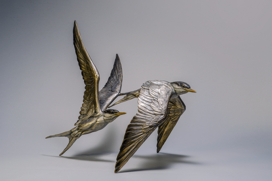 To The Ends Of The Earth (terns)