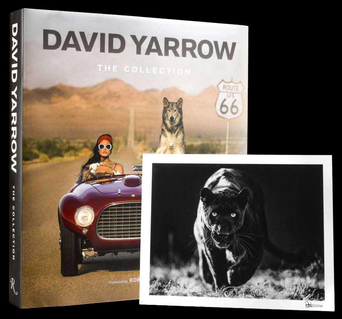 The Collection - Coffee Table Book-Book-David Yarrow / Sorrel Sky Gallery-Sorrel Sky Gallery