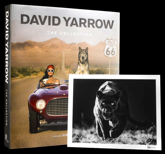The Collection - Coffee Table Book-Book-David Yarrow / Sorrel Sky Gallery-Sorrel Sky Gallery