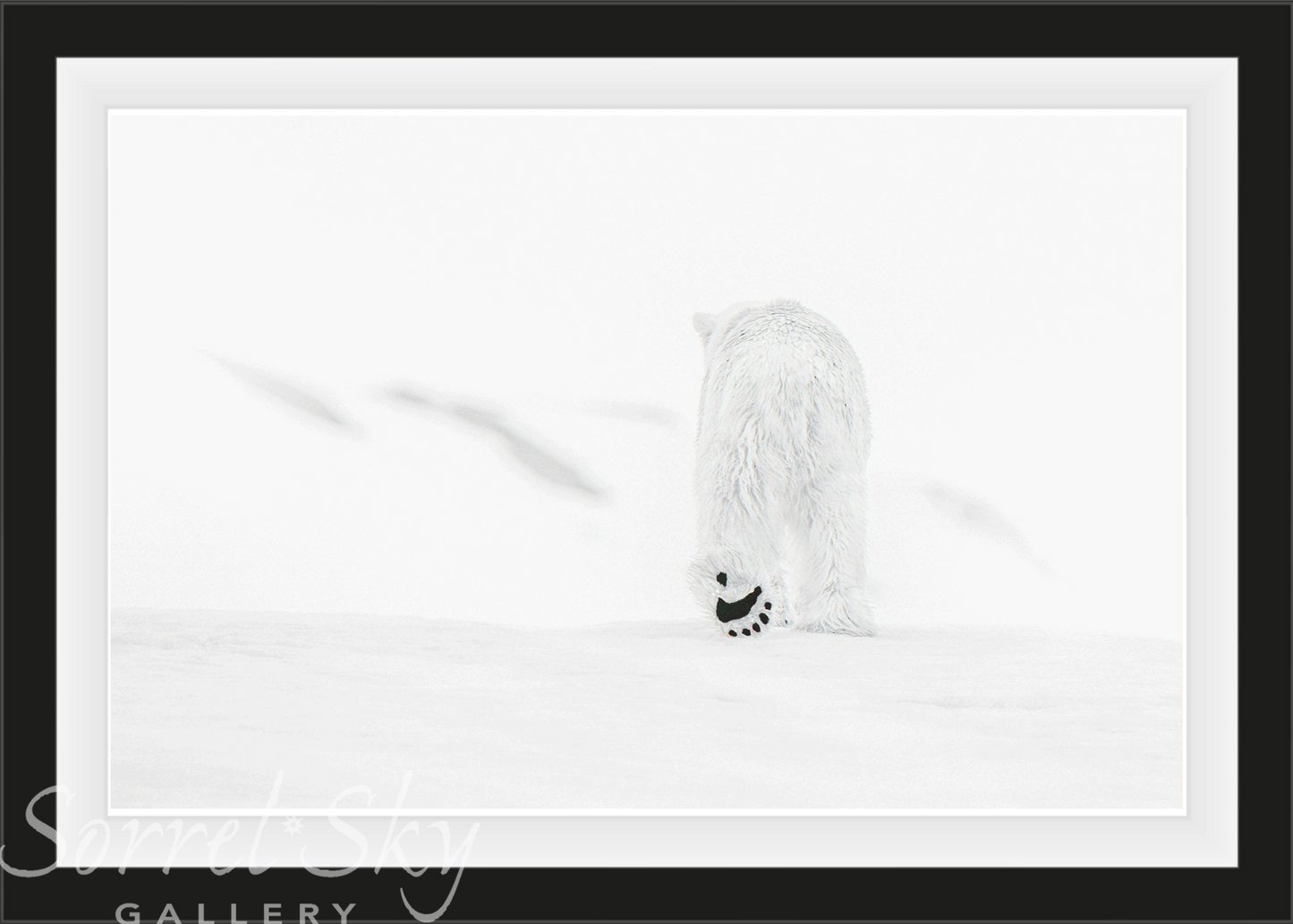 78 Degrees North-Photographic Print-David Yarrow-Sorrel Sky Gallery