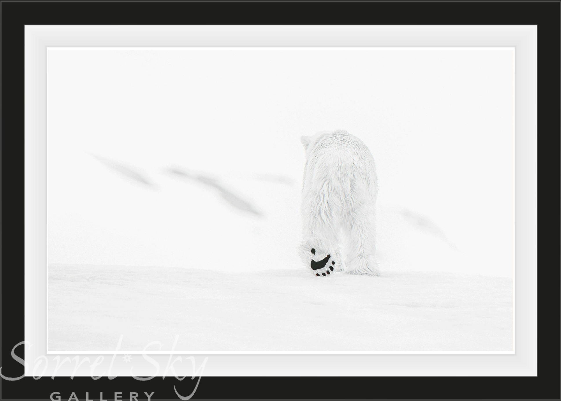 78 Degrees North-Photographic Print-David Yarrow-Sorrel Sky Gallery