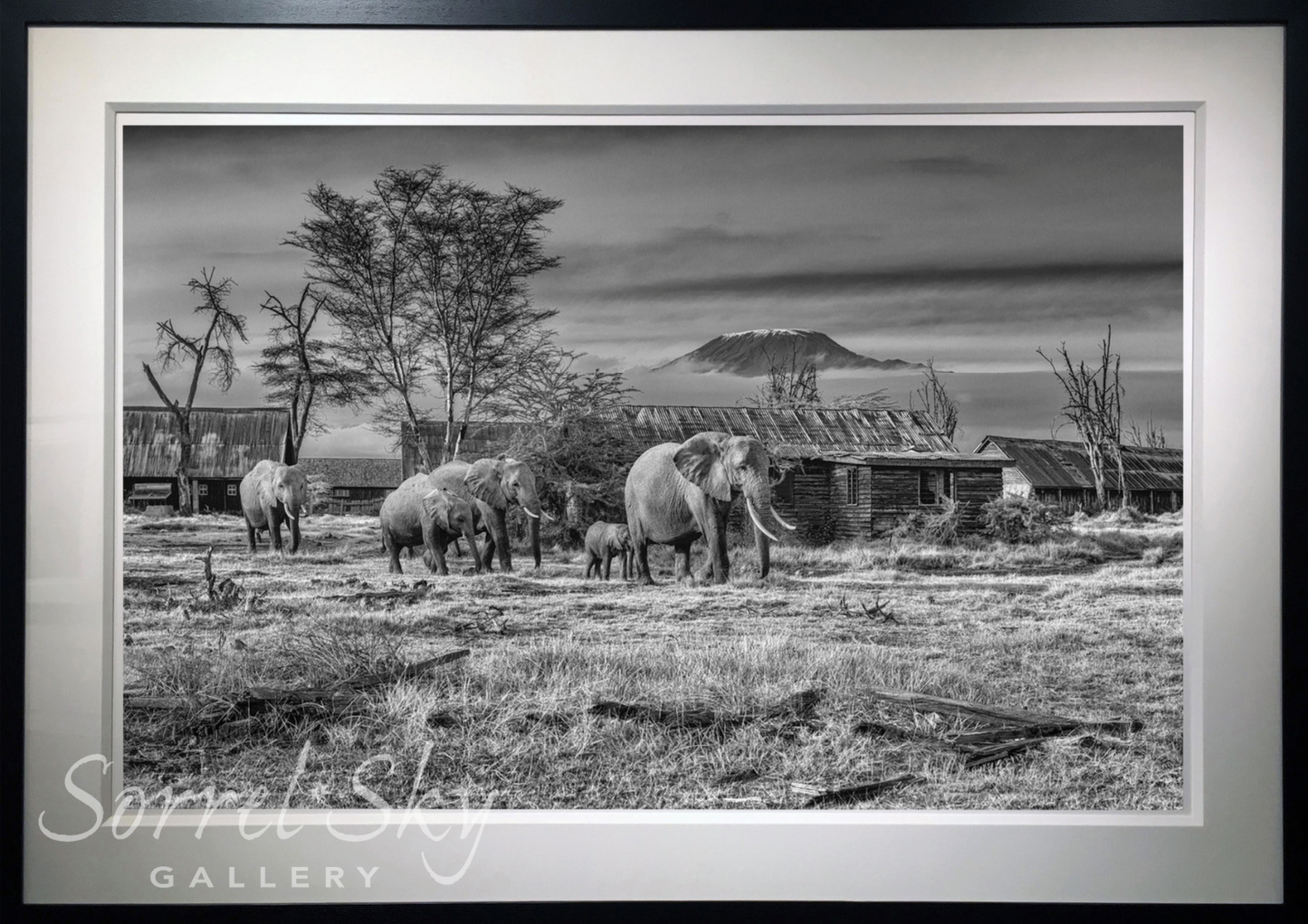 AFTER MAN-Photographic Print-David Yarrow-Sorrel Sky Gallery