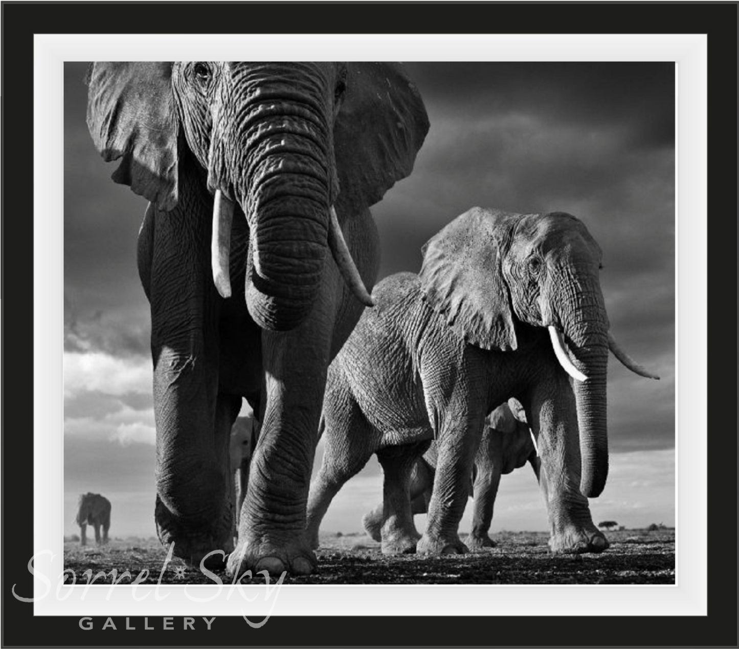 BIG-Photographic Print-David Yarrow-Sorrel Sky Gallery