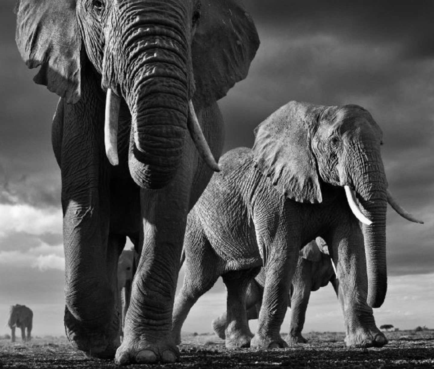 BIG-Photographic Print-David Yarrow-Sorrel Sky Gallery