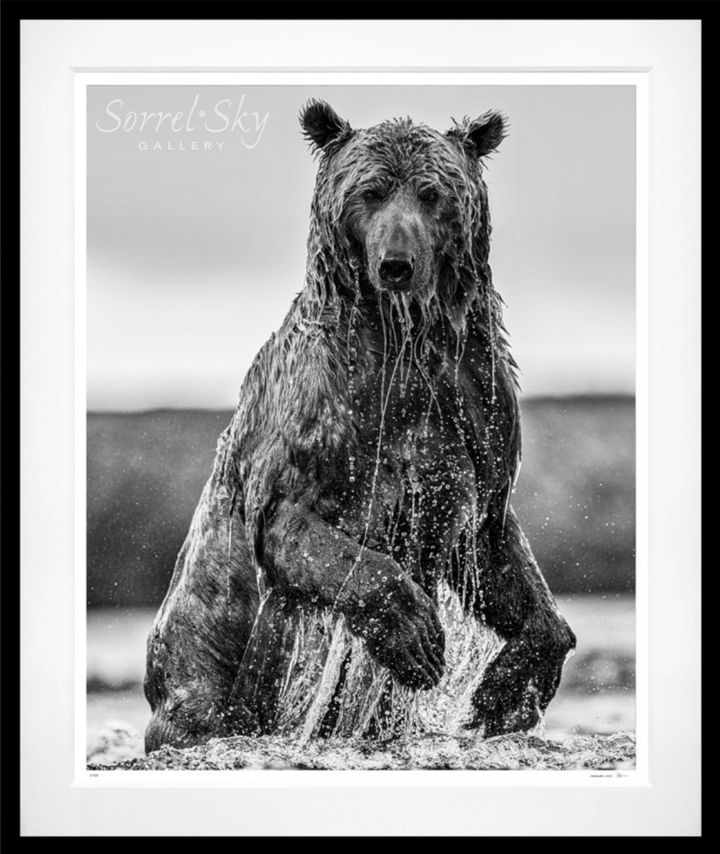 Backcountry-Photographic Print-David Yarrow-Sorrel Sky Gallery