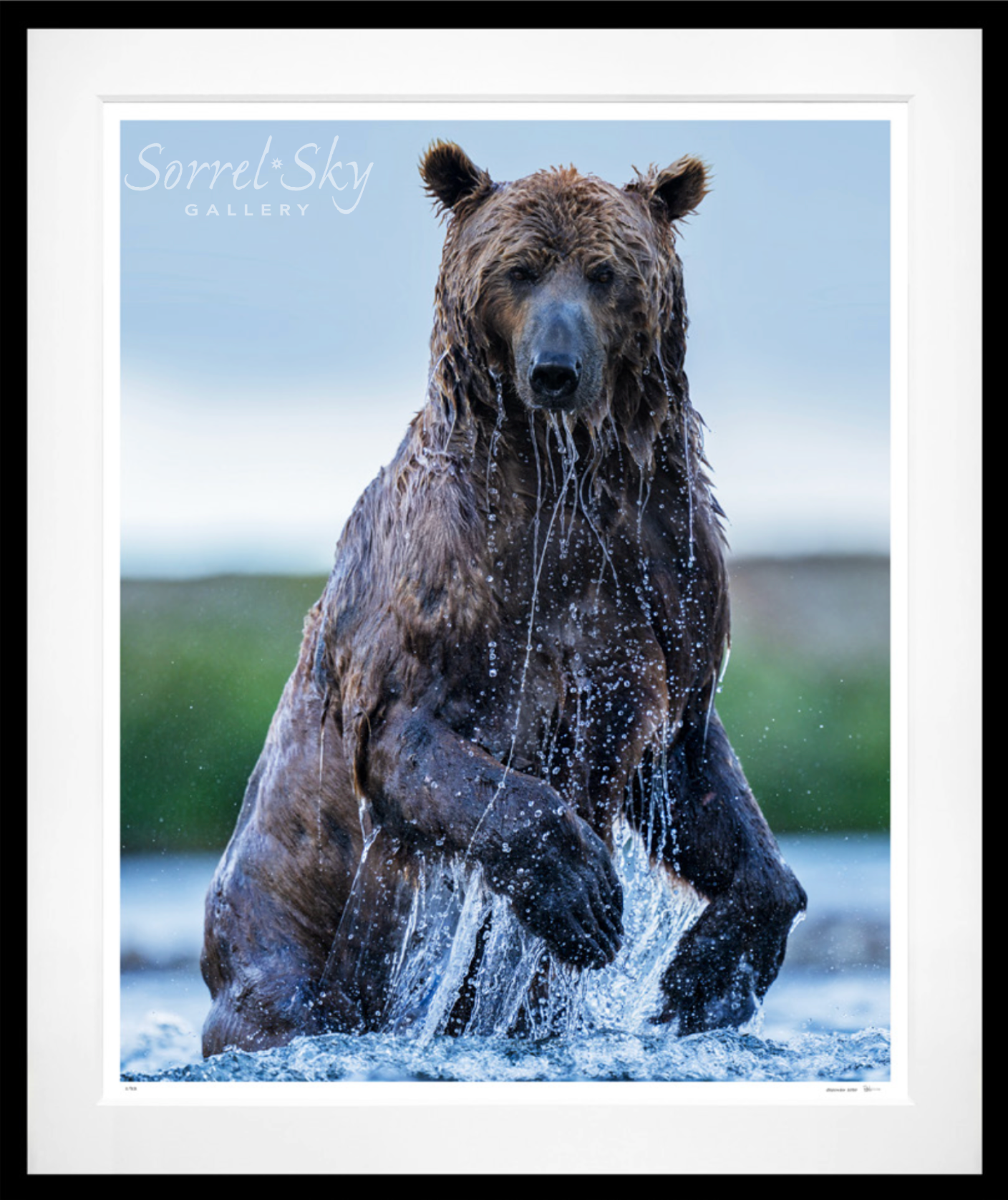 Backcountry - Colour-Photographic Print-David Yarrow-Sorrel Sky Gallery
