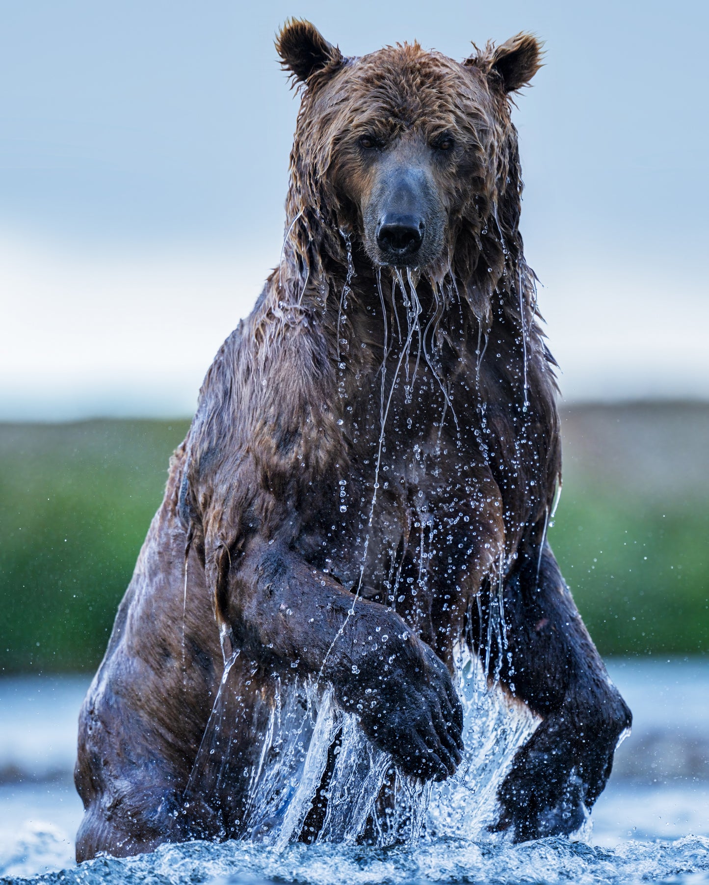 Backcountry - Colour-Photographic Print-David Yarrow-Sorrel Sky Gallery