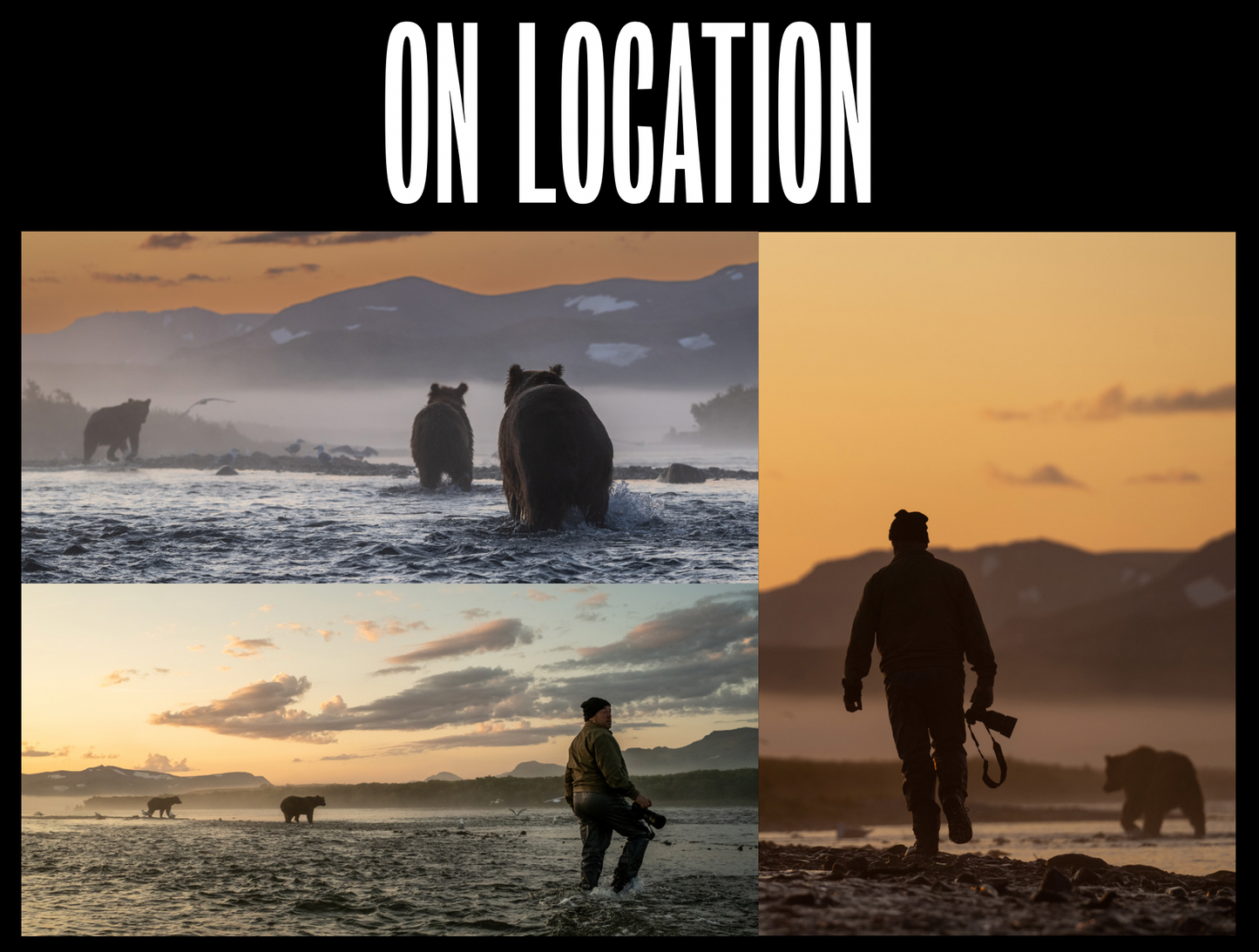Bear Island-Photographic Print-David Yarrow-Sorrel Sky Gallery