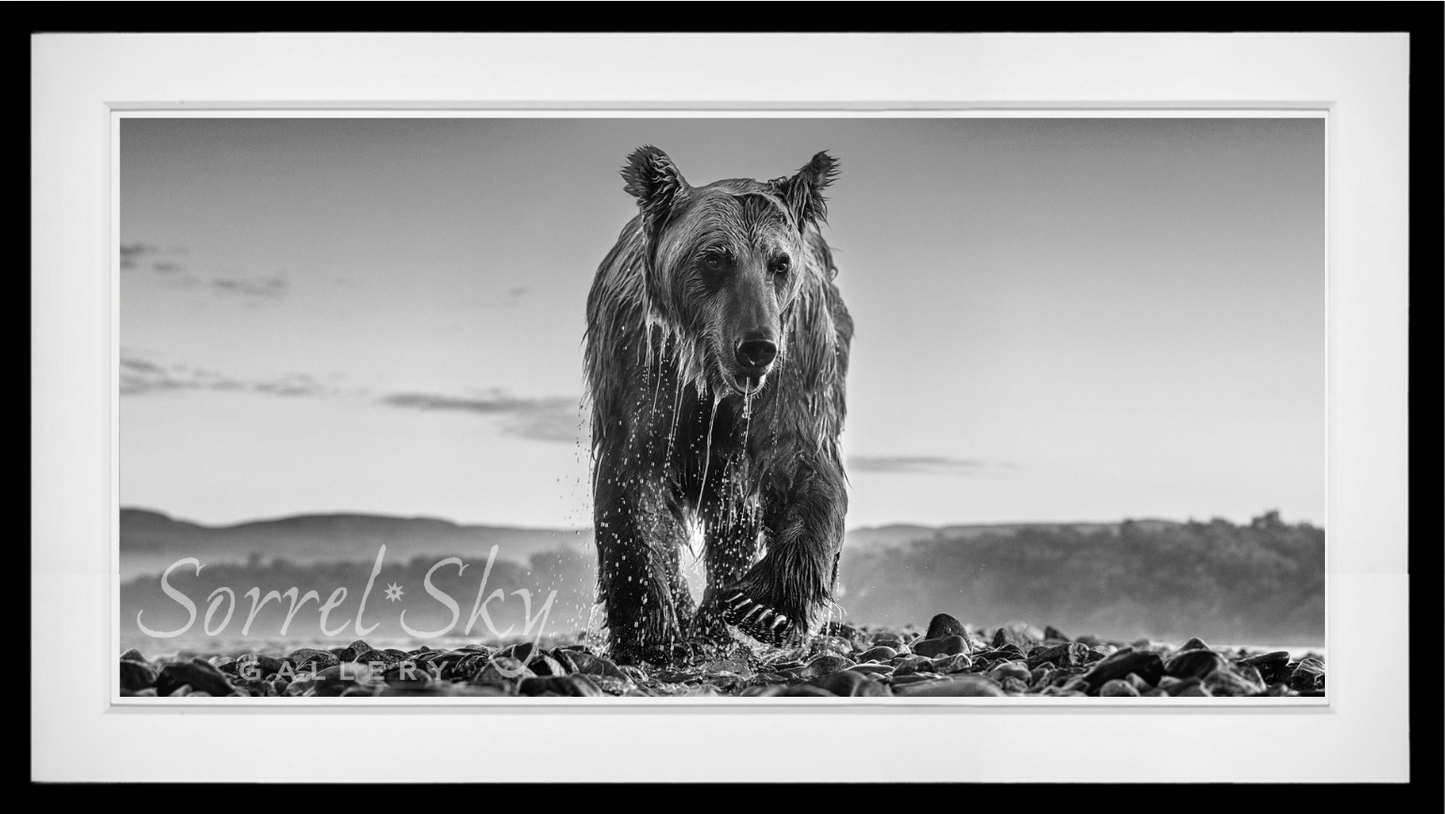 Bear Island