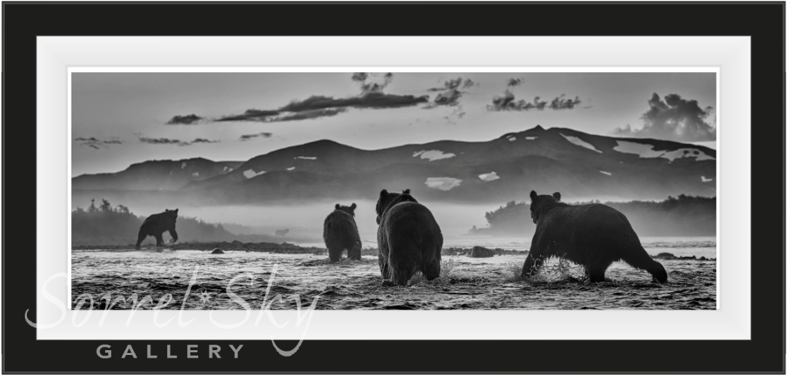 Bear Market