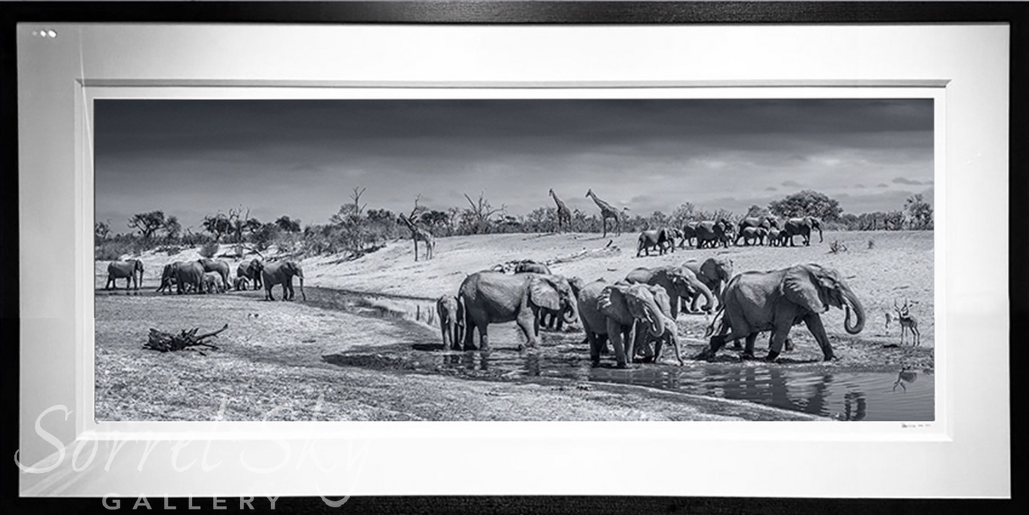 Before Man-Photographic Print-David Yarrow-Sorrel Sky Gallery