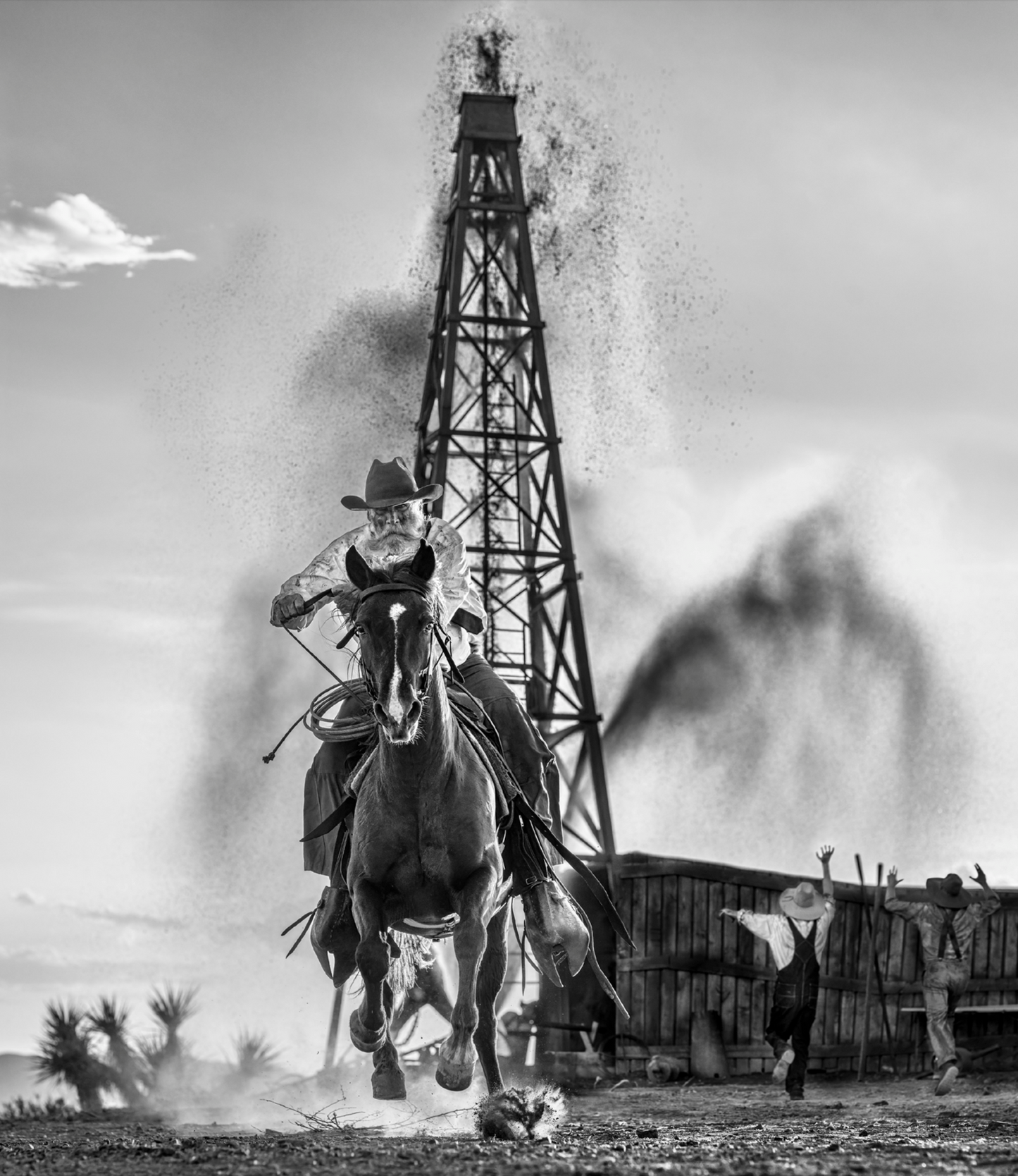 Black Gold-Photographic Print-David Yarrow-Sorrel Sky Gallery
