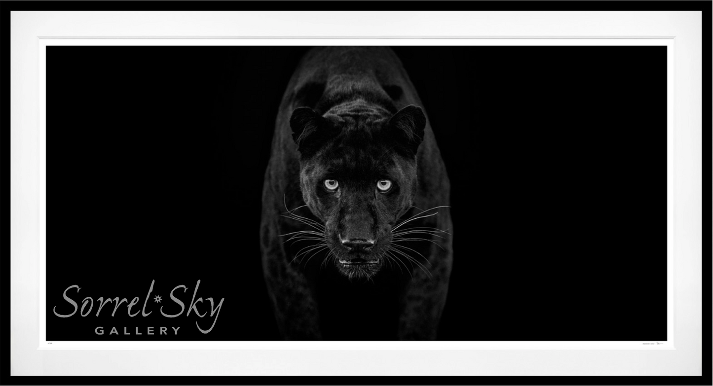 Black Magic - B&W-Photographic Print-David Yarrow-Sorrel Sky Gallery