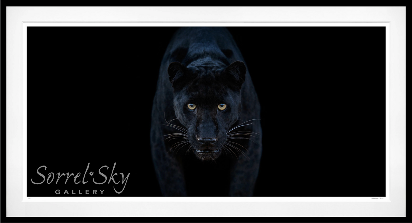 Black Magic - Colour-Photographic Print-David Yarrow-Sorrel Sky Gallery