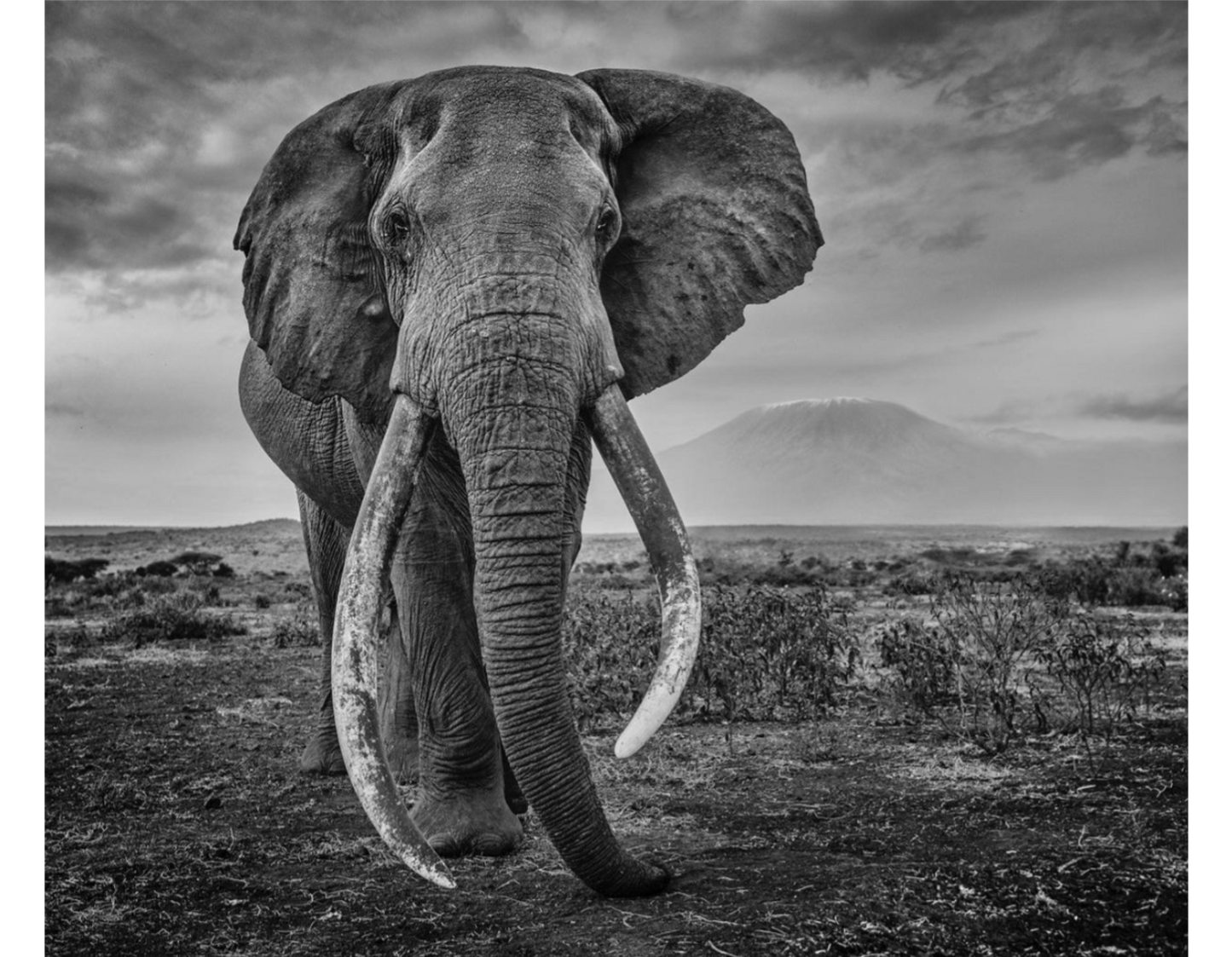 Craig-Photographic Print-David Yarrow-Sorrel Sky Gallery