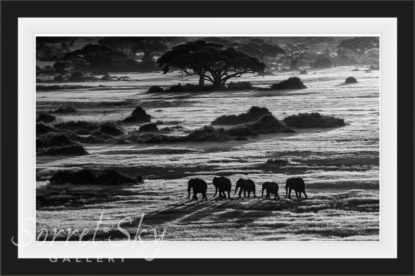 DAWN COMMUTE-Photographic Print-David Yarrow-Sorrel Sky Gallery