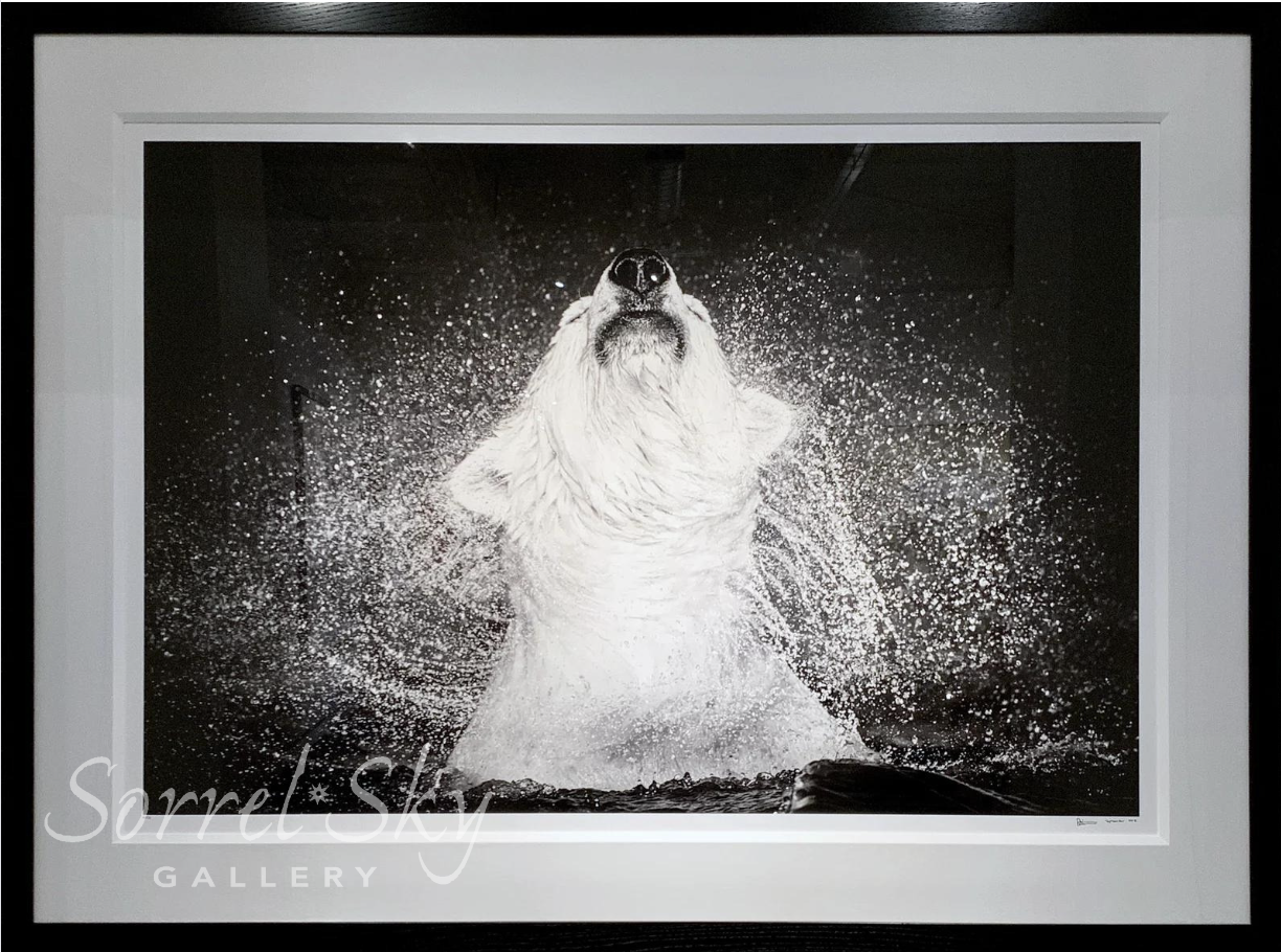 DIAMONDS IN THE SKY-Photographic Print-David Yarrow-Sorrel Sky Gallery