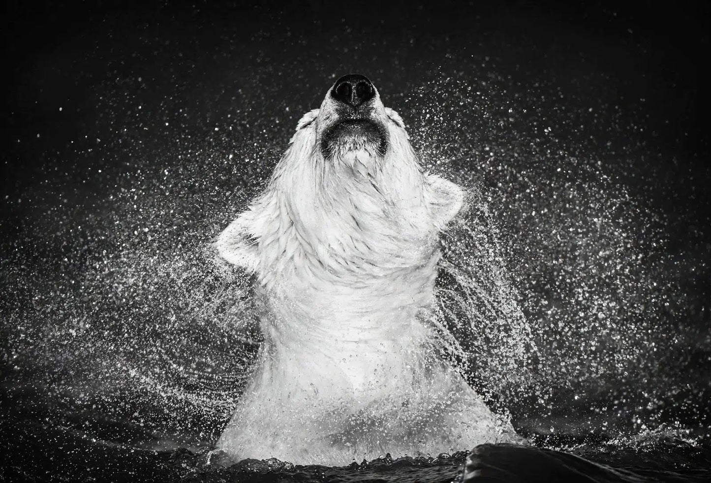 DIAMONDS IN THE SKY-Photographic Print-David Yarrow-Sorrel Sky Gallery