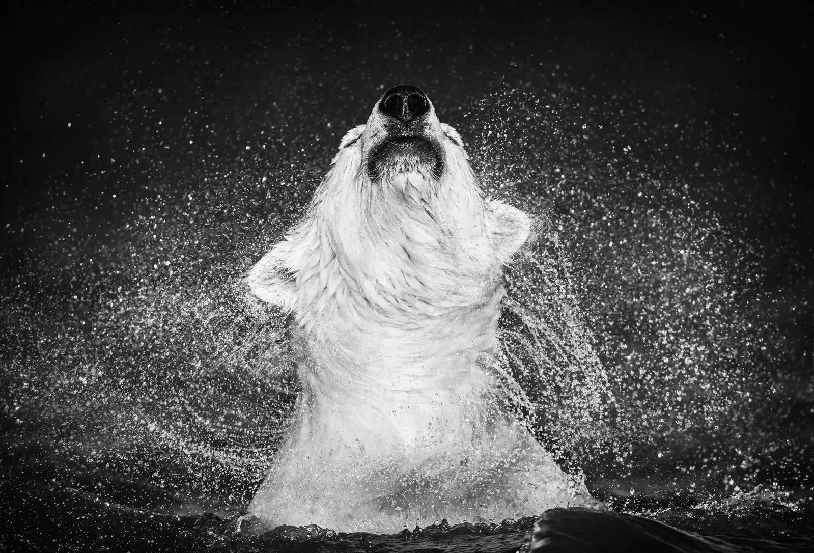 DIAMONDS IN THE SKY-Photographic Print-David Yarrow-Sorrel Sky Gallery
