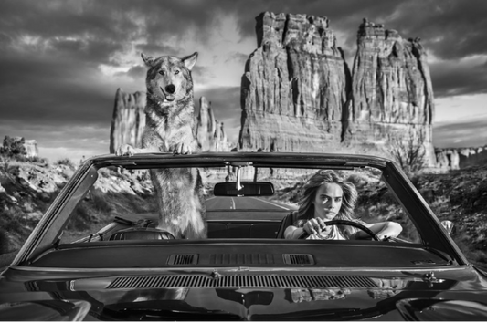 DRIVE-Photographic Print-David Yarrow-Sorrel Sky Gallery