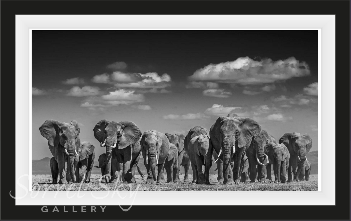 ELEPHANT UPRISING-Photographic Print-David Yarrow-Sorrel Sky Gallery