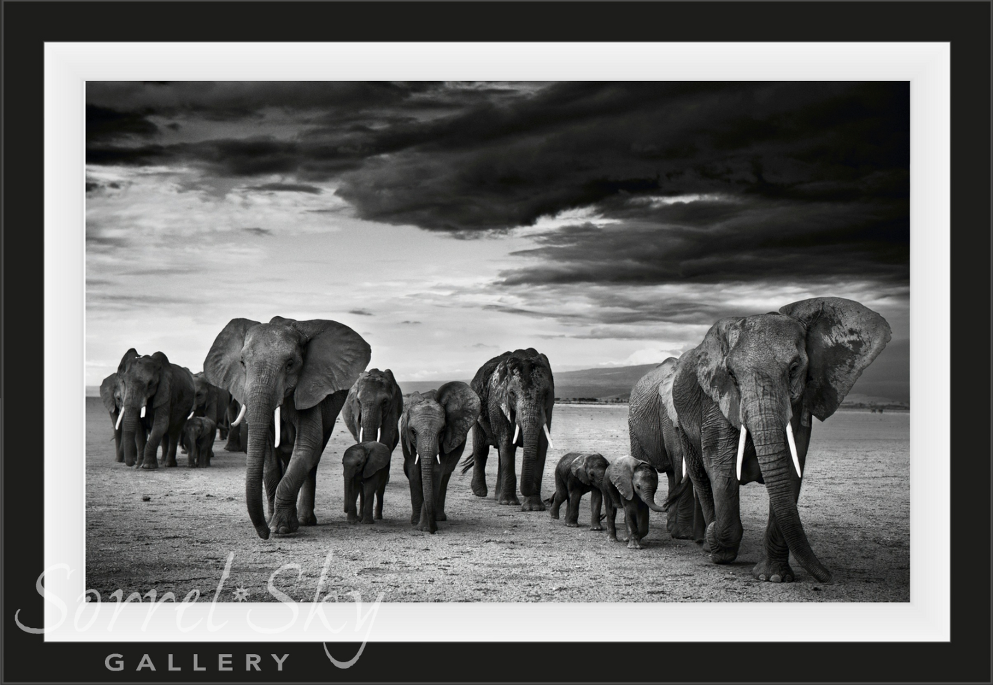 FAMILY-Photographic Print-David Yarrow-Sorrel Sky Gallery