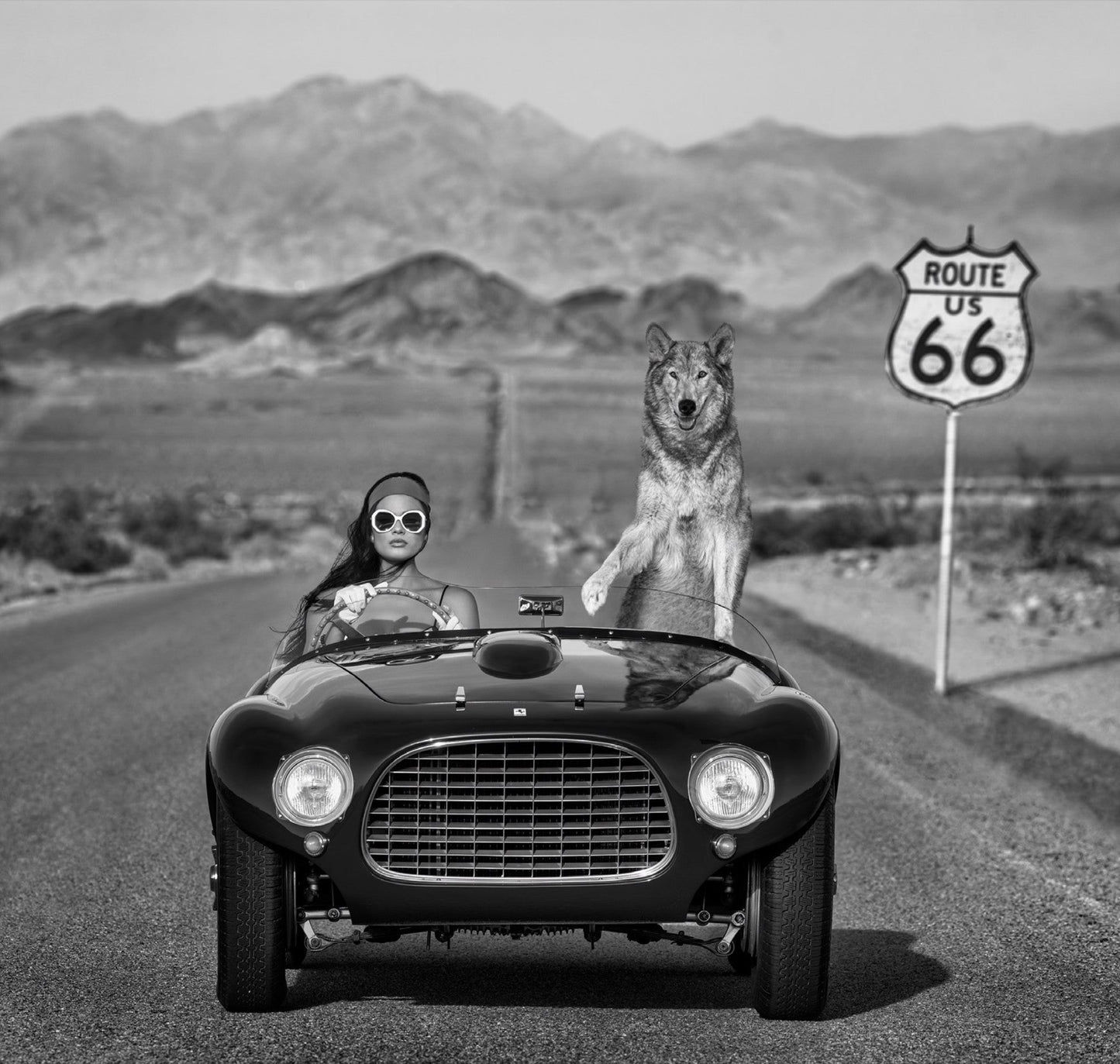 Ferrari II-Photographic Print-David Yarrow-Sorrel Sky Gallery