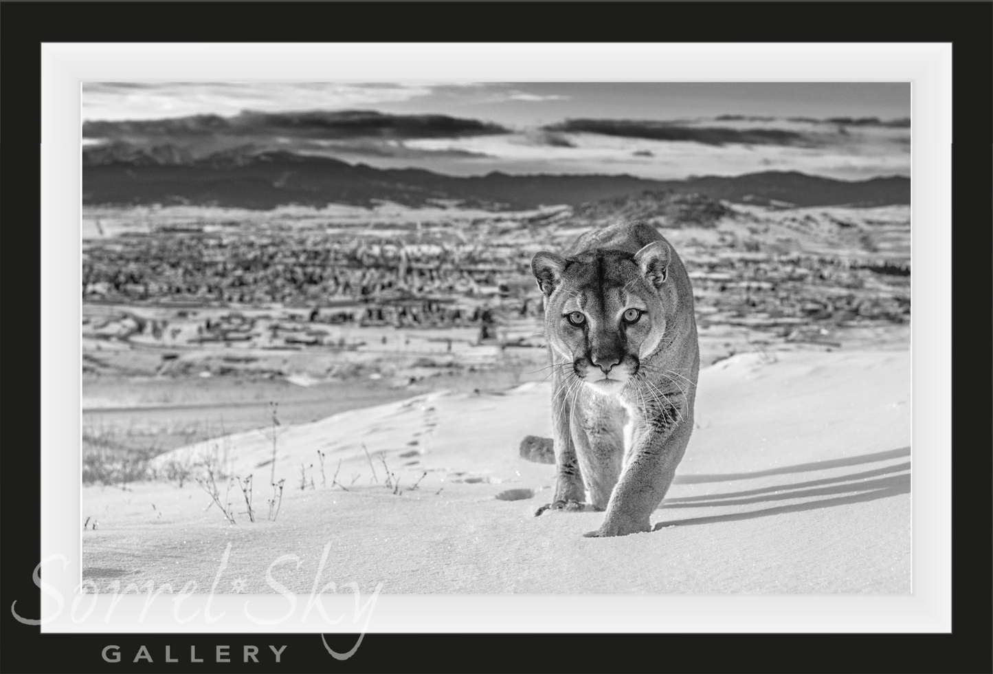 Frontier Town ~ black and white