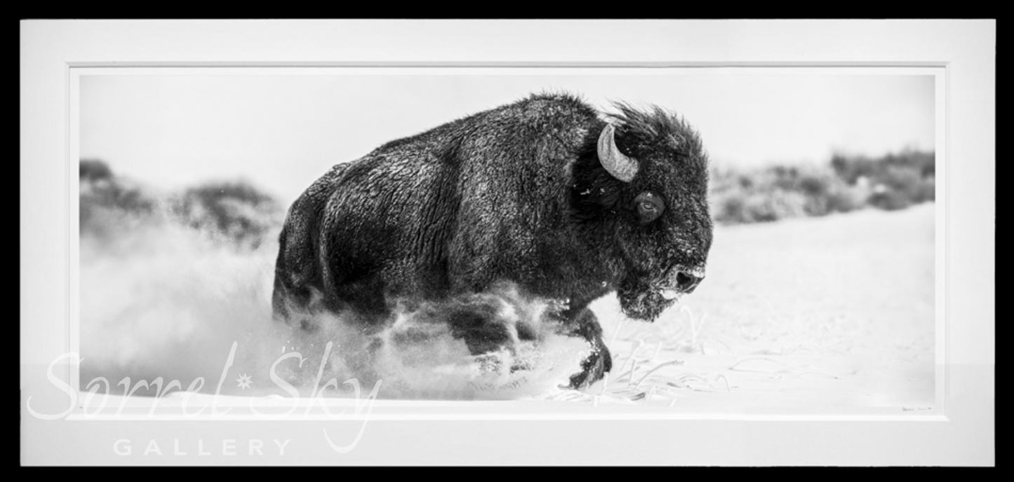 Frozen Mountain-Photographic Print-David Yarrow-Sorrel Sky Gallery