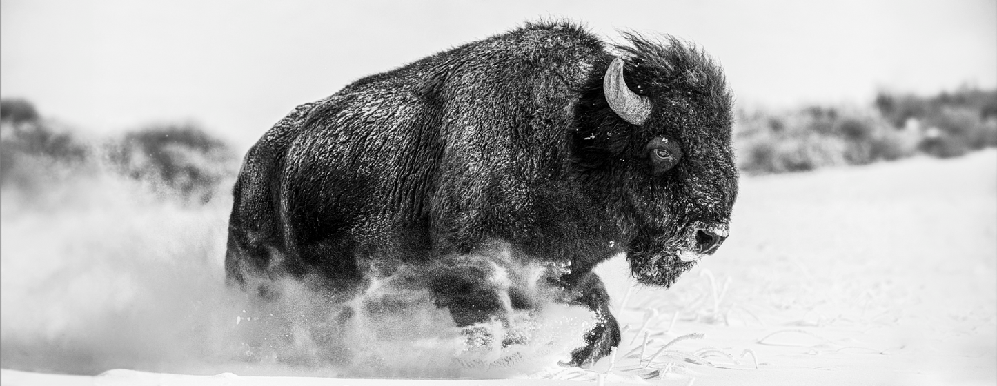Frozen Mountain-Photographic Print-David Yarrow-Sorrel Sky Gallery