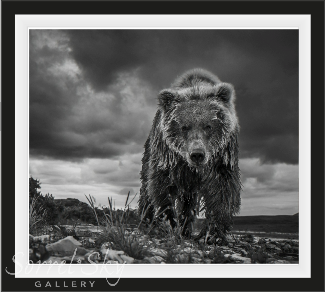 Funnel Creek-Photographic Print-David Yarrow-Sorrel Sky Gallery