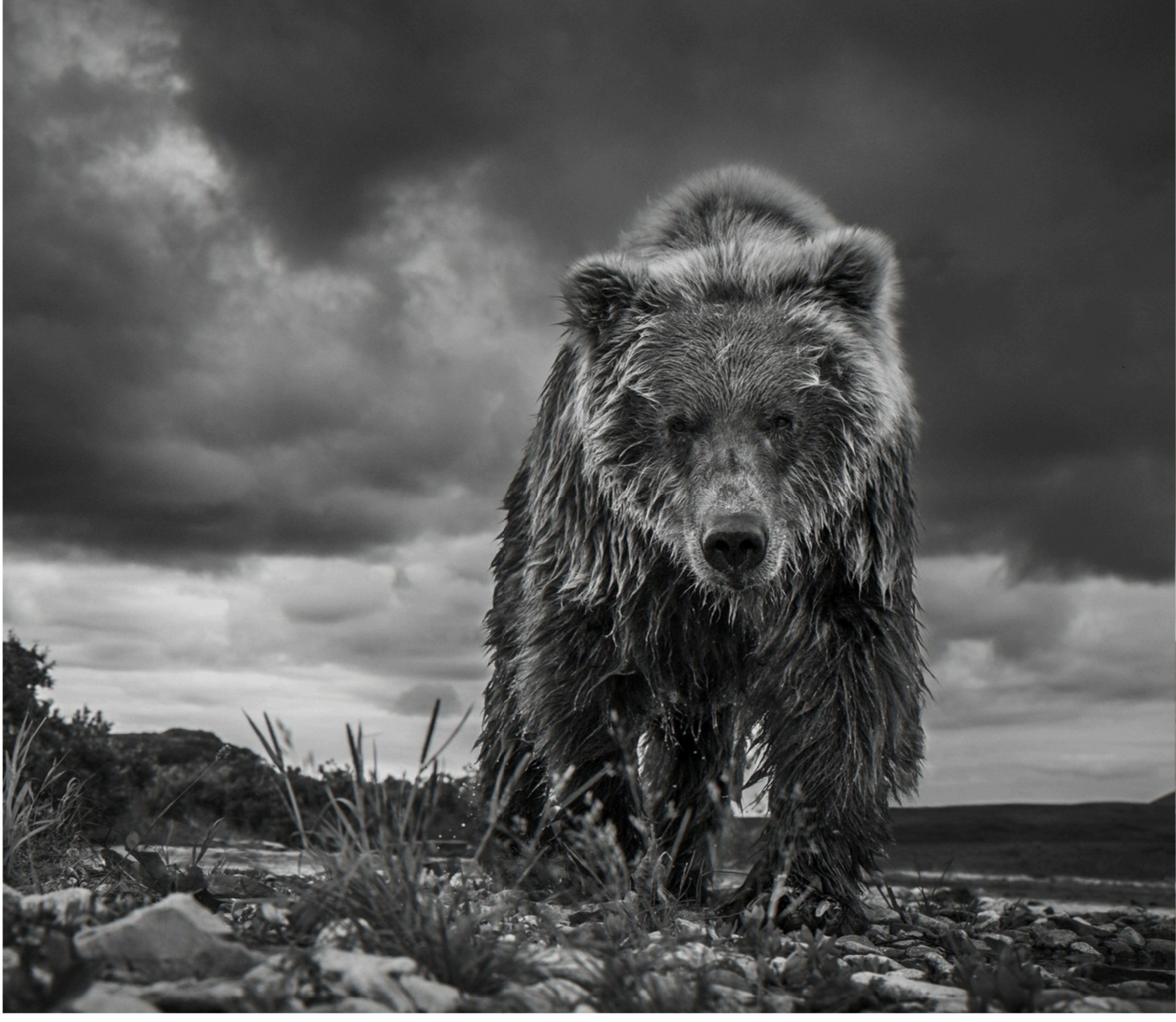 Funnel Creek-Photographic Print-David Yarrow-Sorrel Sky Gallery
