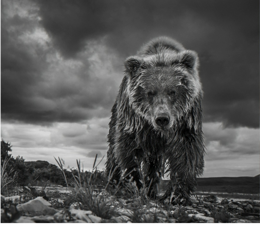 Funnel Creek-Photographic Print-David Yarrow-Sorrel Sky Gallery