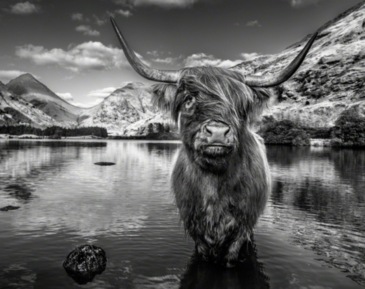 GLEN ETIVE-Photographic Print-David Yarrow-Sorrel Sky Gallery