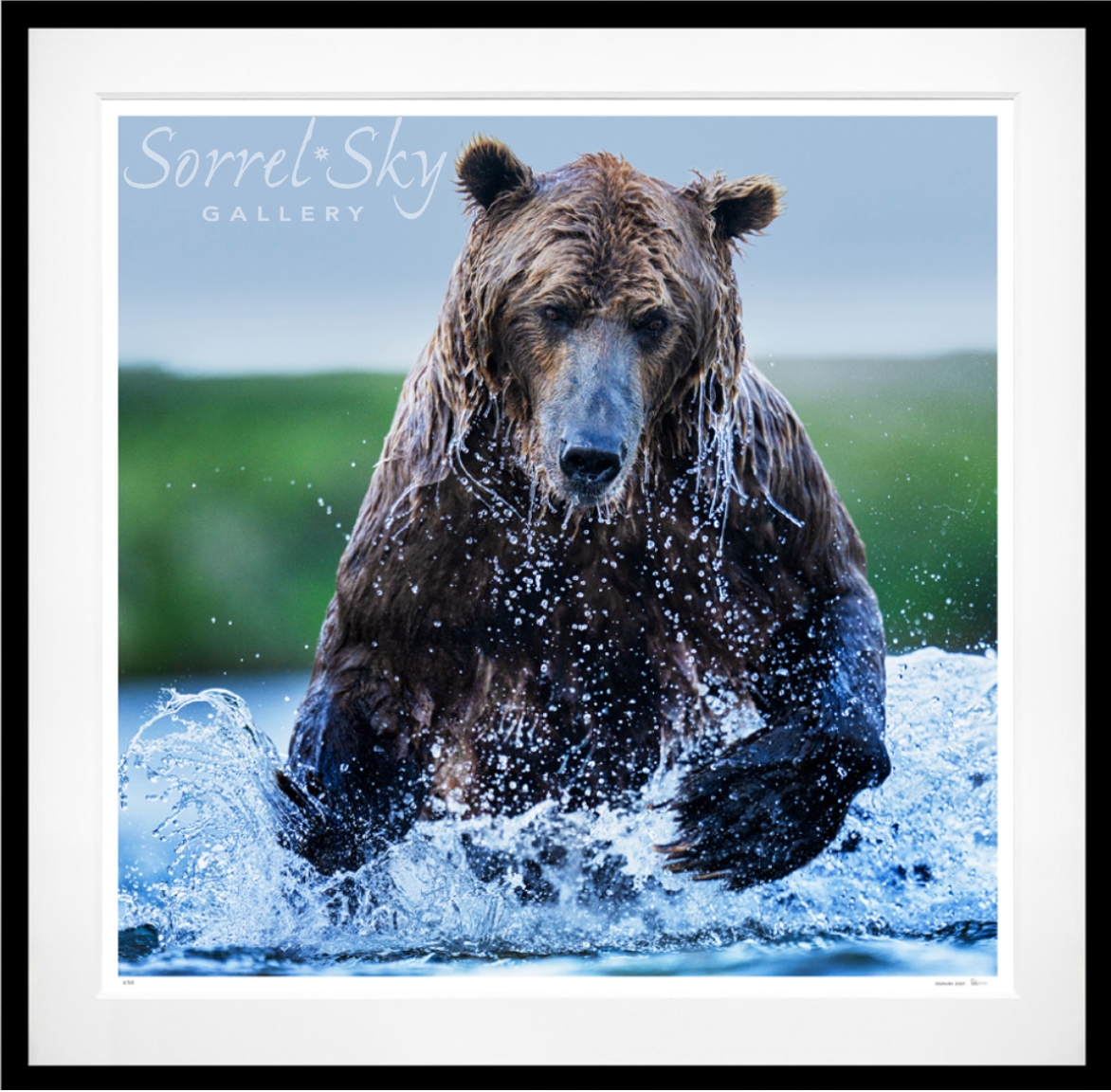 Gone Fishing (Colour)-Photographic Print-David Yarrow-Sorrel Sky Gallery