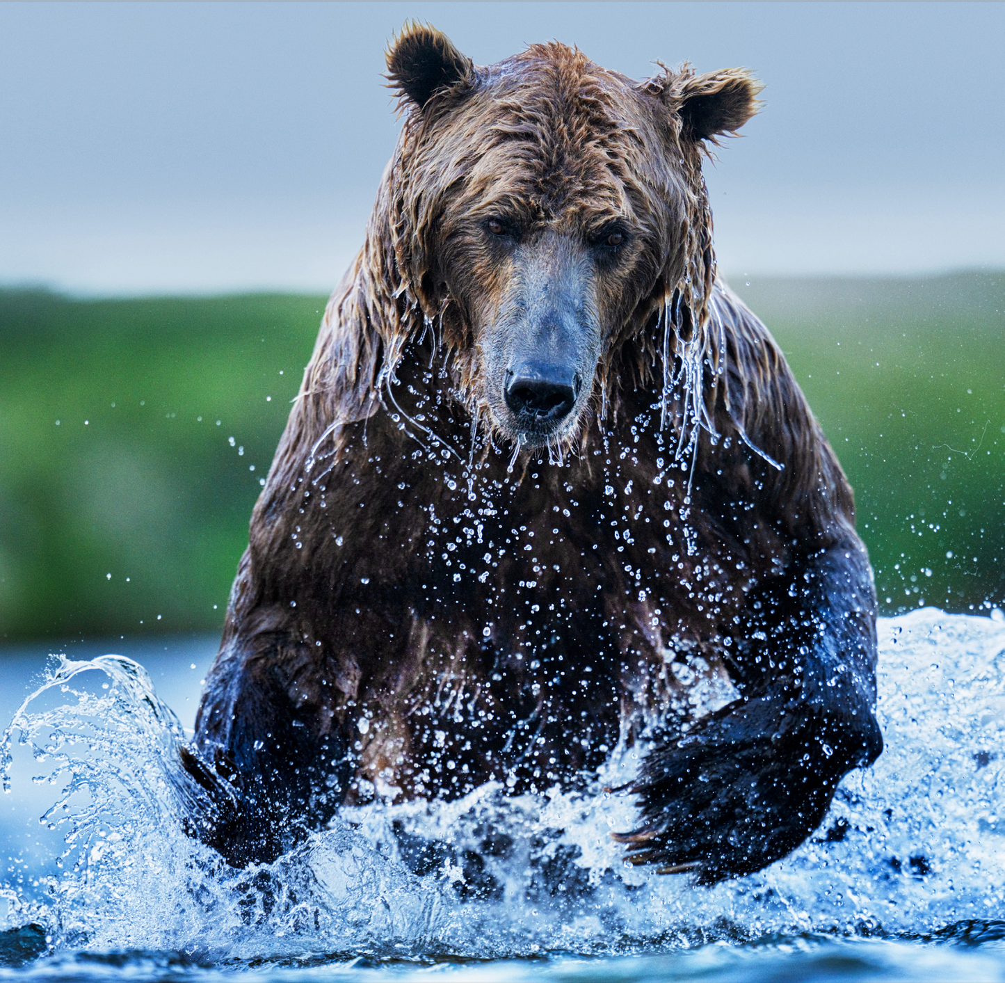 Gone Fishing (Colour)-Photographic Print-David Yarrow-Sorrel Sky Gallery