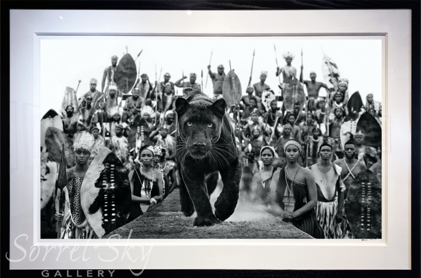 I AM BLACK PANTHER-Photographic Print-David Yarrow-Sorrel Sky Gallery