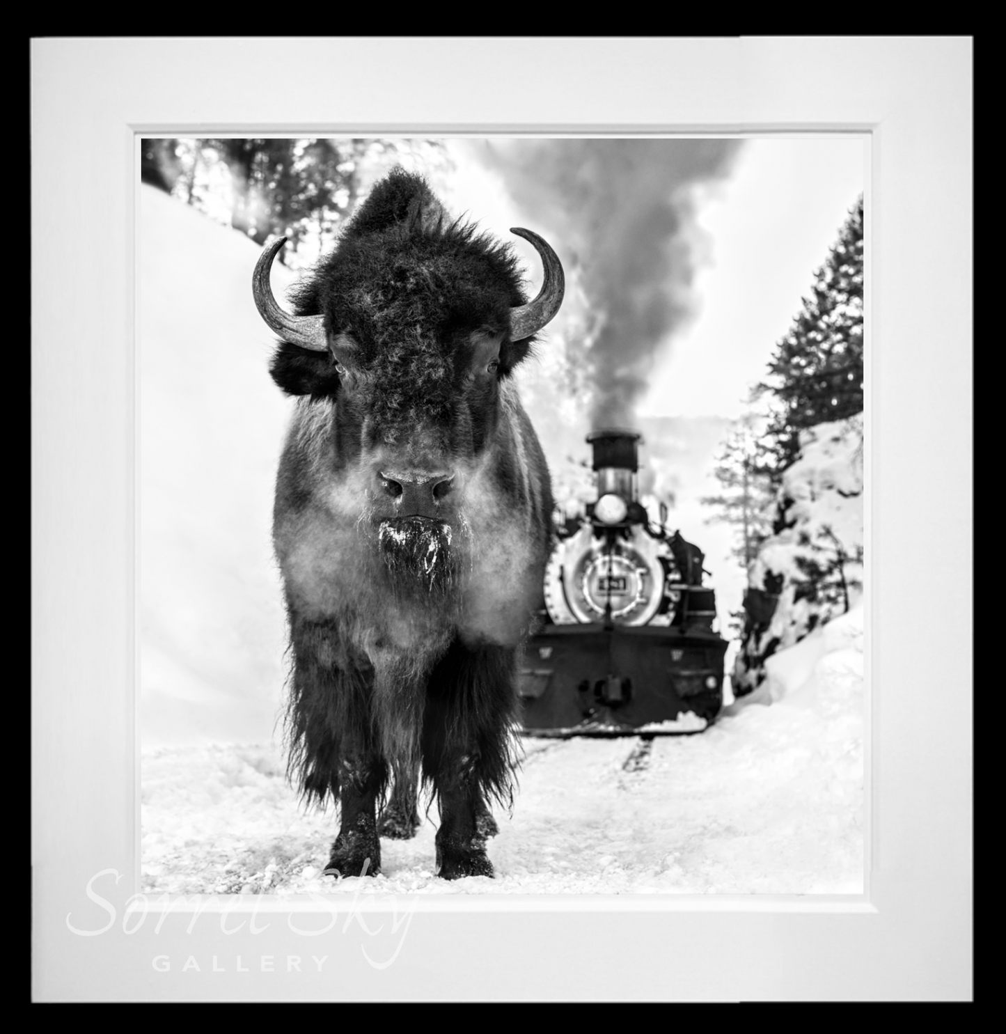 I Walk The Line-Photographic Print-David Yarrow-Sorrel Sky Gallery