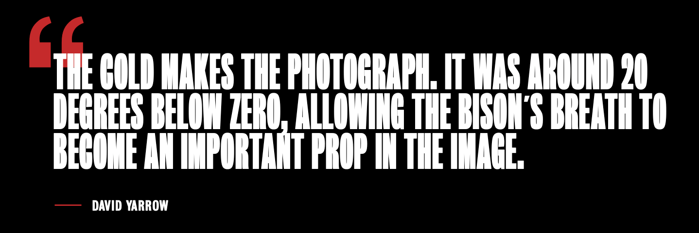 I Walk The Line-Photographic Print-David Yarrow-Sorrel Sky Gallery
