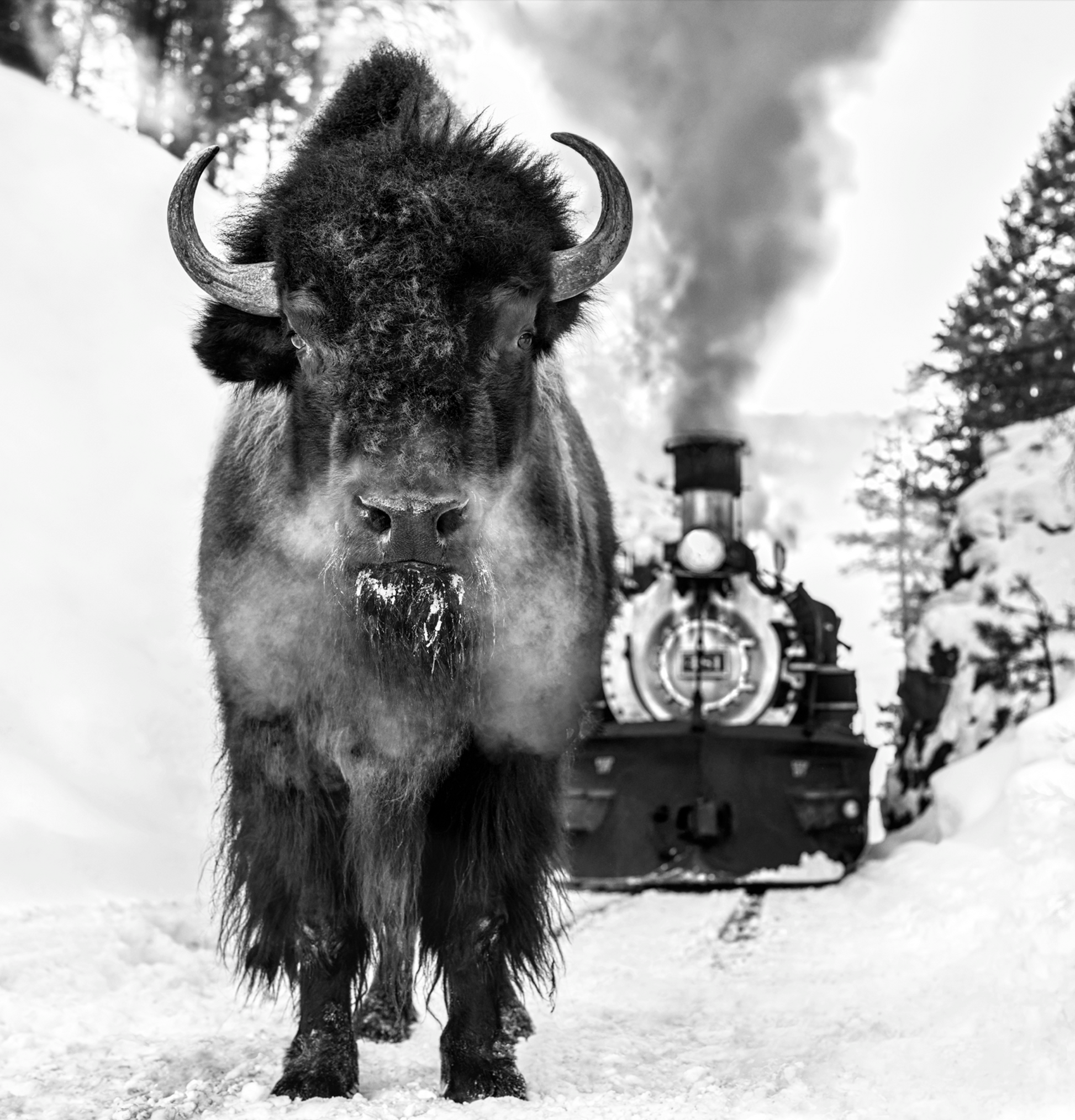 I Walk The Line-Photographic Print-David Yarrow-Sorrel Sky Gallery