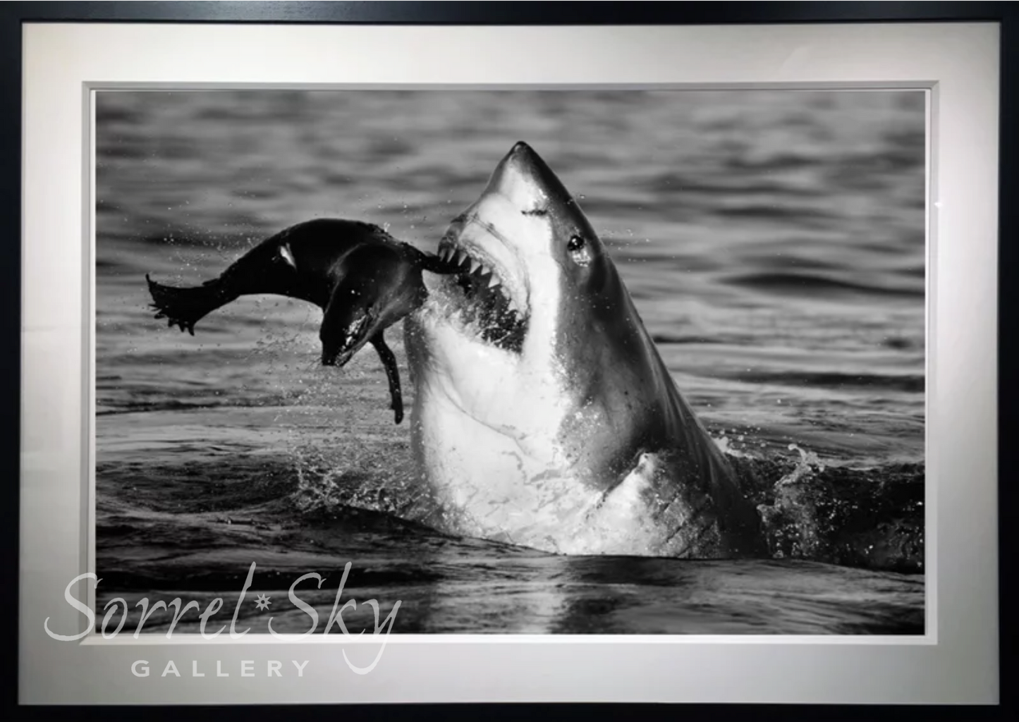 Jaws-Photographic Print-David Yarrow-Sorrel Sky Gallery