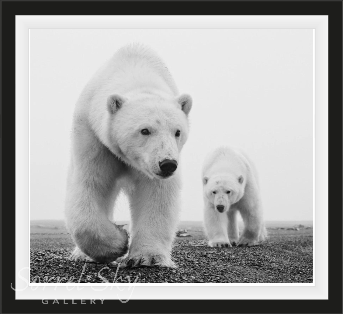 KAKTOVIK-Photographic Print-David Yarrow-Sorrel Sky Gallery