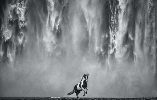 LEGENDS OF THE FALL-Photographic Print-David Yarrow-Sorrel Sky Gallery