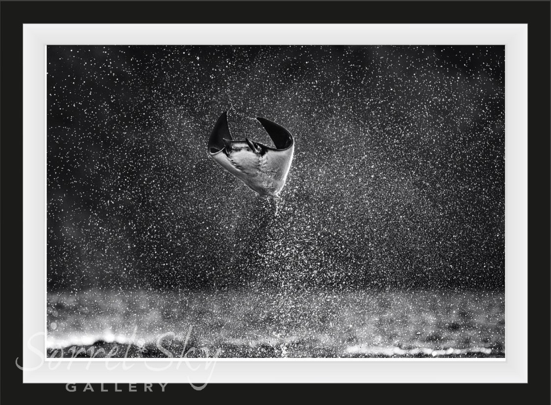 MARS ATTACKS!-Photographic Print-David Yarrow-Sorrel Sky Gallery