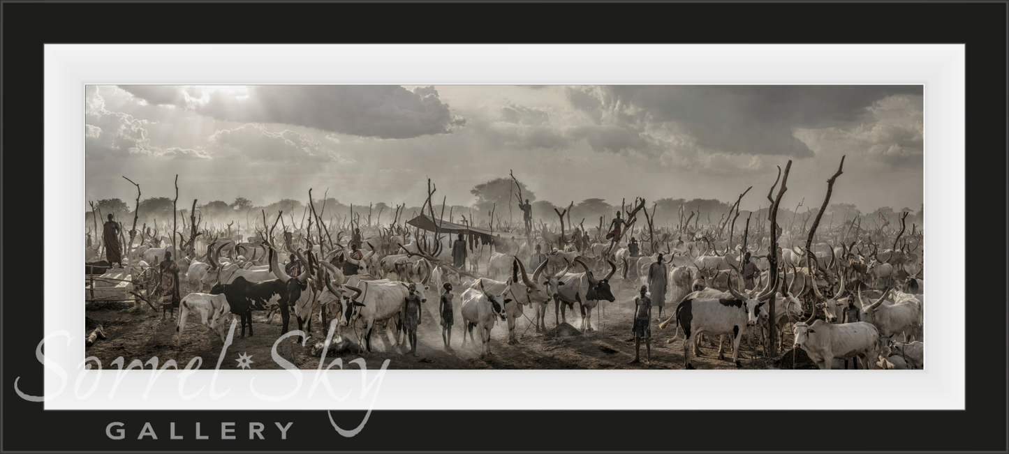 Manchild-Photographic Print-David Yarrow-Sorrel Sky Gallery