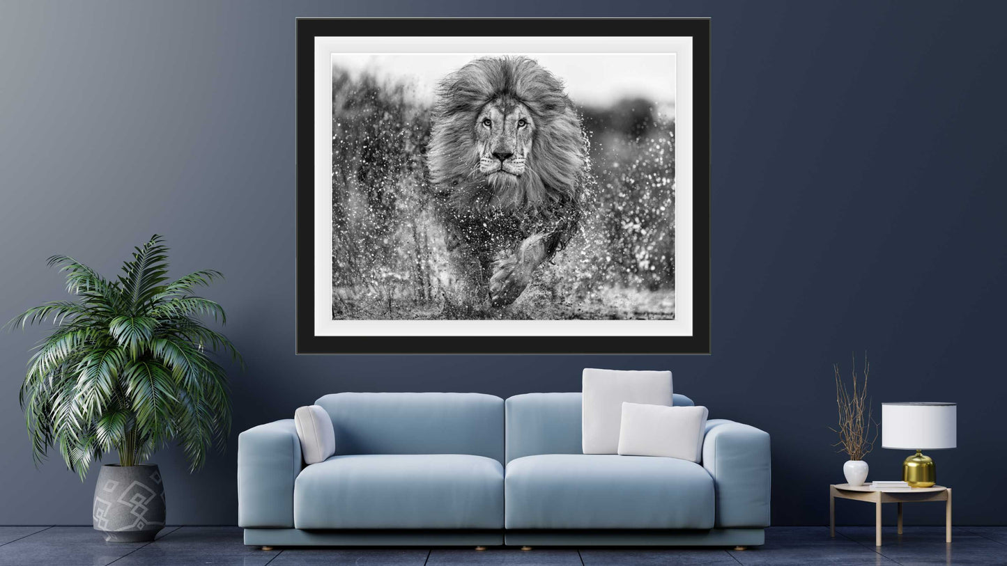 Marshlands-Photographic Print-David Yarrow-Sorrel Sky Gallery