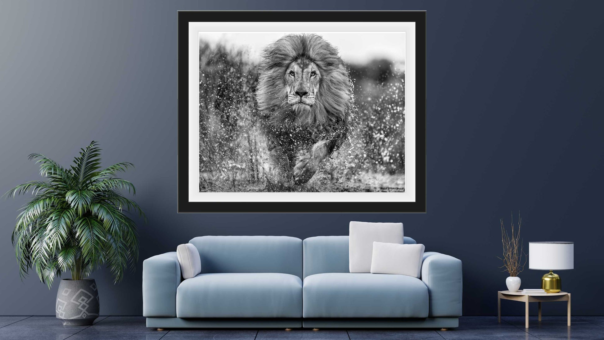 Marshlands-Photographic Print-David Yarrow-Sorrel Sky Gallery